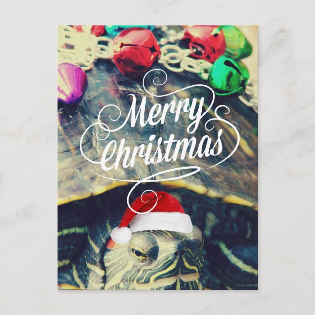 A Christmas Turtle Holiday Postcard (Front)