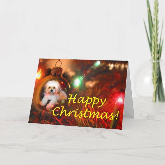 A Christmas Wish Holiday Card (Front)