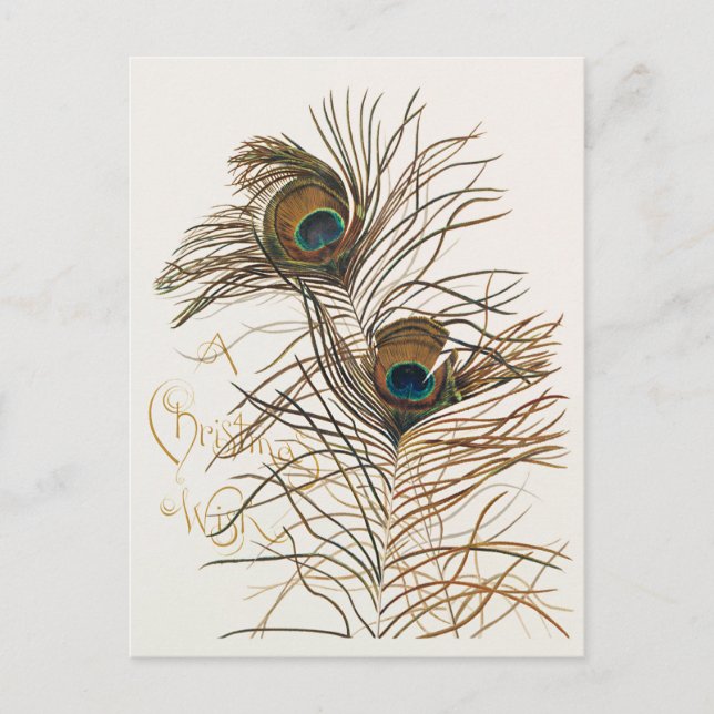 A Christmas Wish with Tropical  Holiday Card (Front)