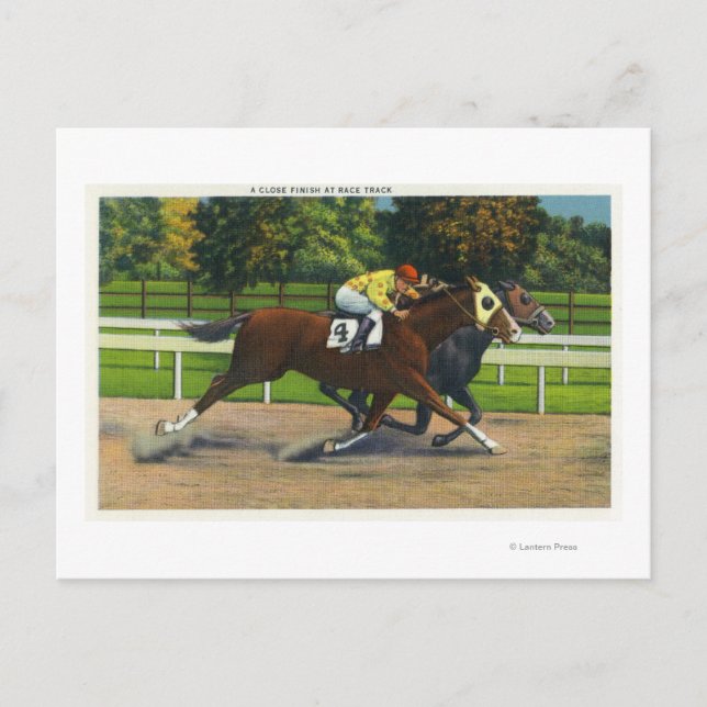 A Close Finish at the Race Track, Horses Postcard (Front)