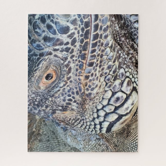 A close up head of a green iguana. Challenging Jigsaw Puzzle (Vertical)