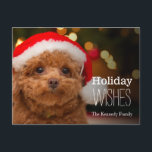 A close up, of a red toy poodle holiday postcard<br><div class="desc">A Toy Poodle wearing a Santa hat.</div>