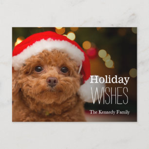A close up, of a red toy poodle holiday postcard