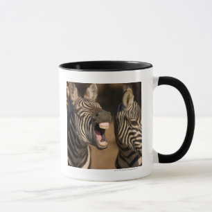 A close-up of a Zebra showing its teeth, Mug