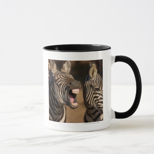 A close-up of a Zebra showing its teeth, Mug (Right)