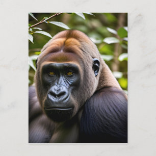 A Close-up Portrait of a Gorilla Postcard