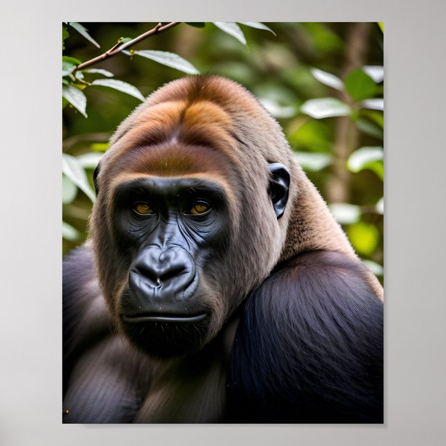 A Close-up Portrait of a Gorilla  Poster (Front)