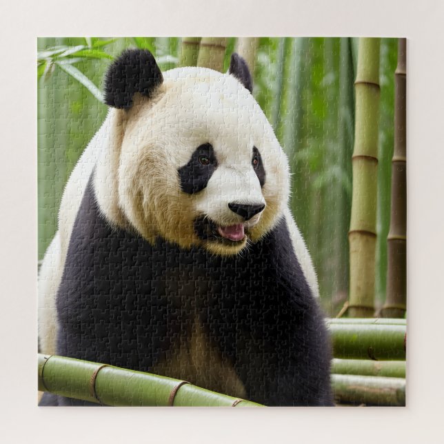 A Close-Up Portrait of a Panda Jigsaw Puzzle (Vertical)