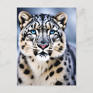 A Close-up Portrait of a Snow Leopard Postcard