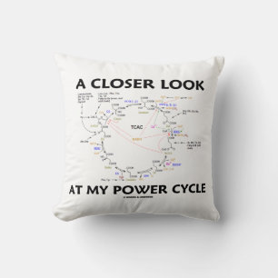 A Closer Look At My Power Cycle Krebs Cycle Cushion