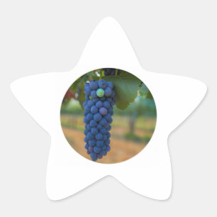 A Cluster of Fresh Purple Grapes  Star Sticker