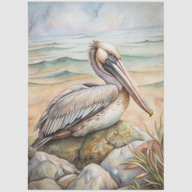 A Coastal Series Design 50 Tissue Paper (Front)