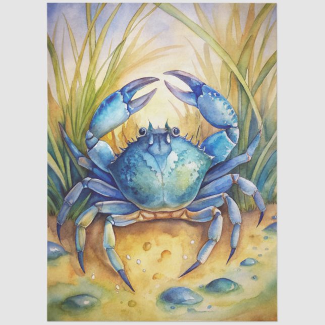 A Coastal Series Design 72 Tissue Paper (Front)