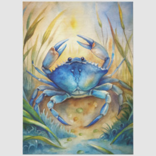 A Coastal Series Design 80 Tissue Paper