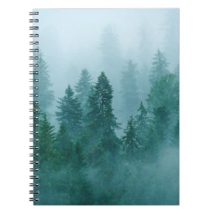 A cold morning in the Ceahlau National Park, Roman Notebook