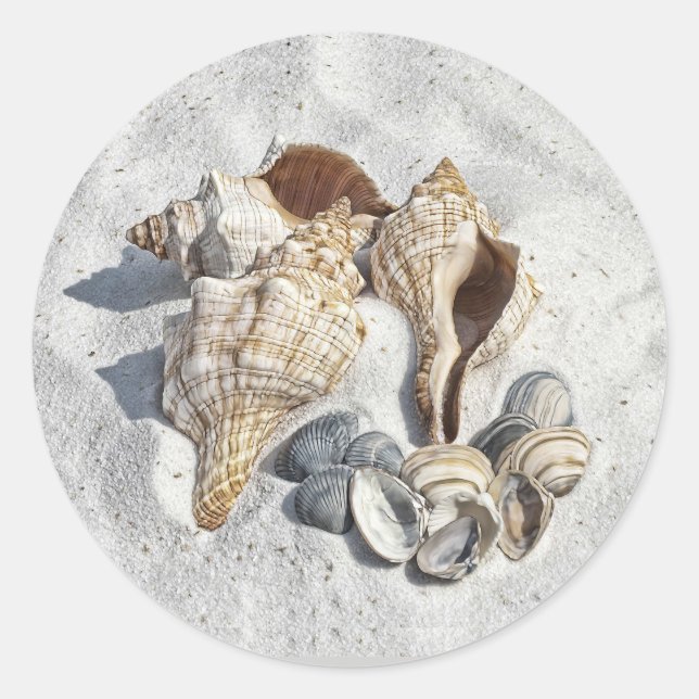 A Collection of Seashells on Sand Classic Round Sticker (Front)