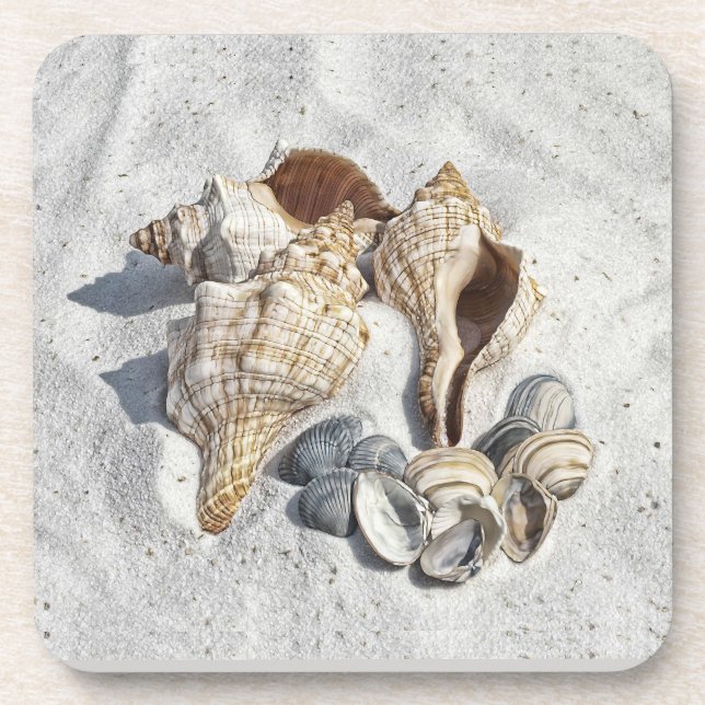 A Collection of Seashells on Sand Coaster (Front)