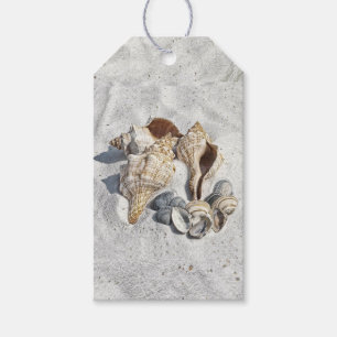 A Collection of Seashells on Sand Gift Tags