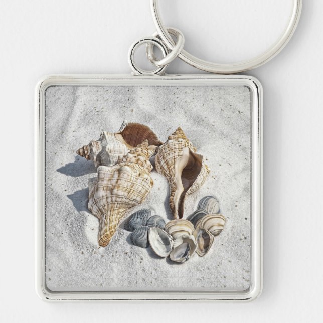 A Collection of Seashells on Sand Key Ring (Front)