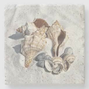 A Collection of Seashells on Sand Stone Coaster