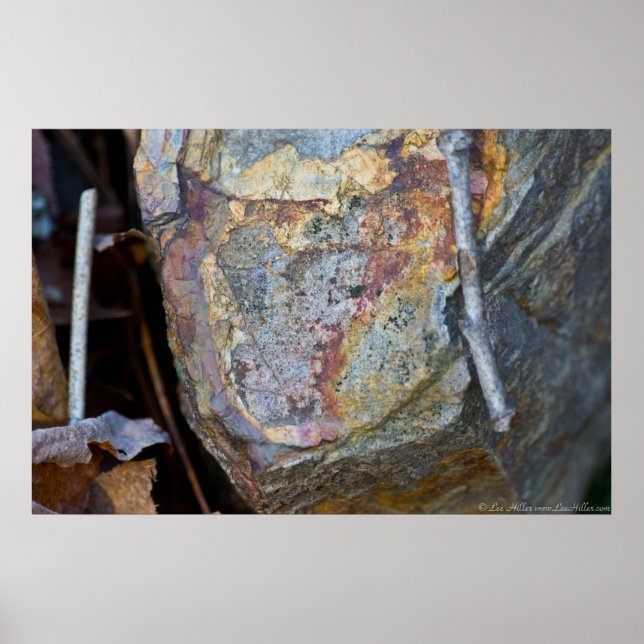A Colourful Rock Nestled on the Forest Floor Poster (Front)
