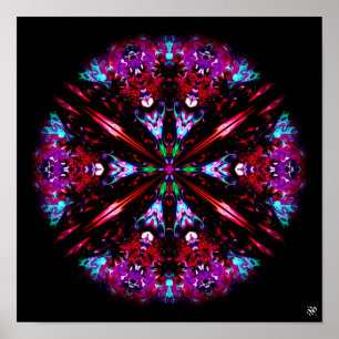 A colourful round thing - patterns pareidolia poster