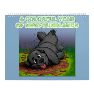 A colourful year of Newfoundlands Calendar