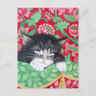 A comfy cat! postcard