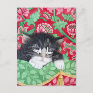 A comfy cat! postcard