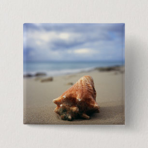 A Conch Shell On The Beach St. Croix, Usvi 15 Cm Square Badge
