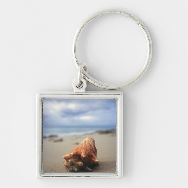 A Conch Shell On The Beach | St. Croix, Usvi Key Ring (Front)