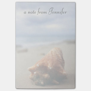 A Conch Shell On The Beach St. Croix, Usvi Post-it Notes