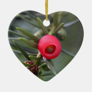 A cone of a yew (Taxus baccata) Ceramic Tree Decoration