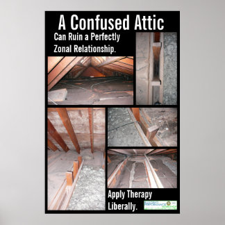 A Confused Attic Can Ruin a Perfectly Zonal Relati Poster