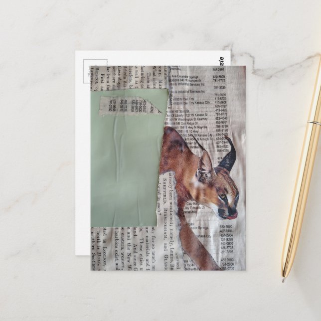 A Cool Big Kitty Mixed Media Collage Postcard (Front/Back In Situ)