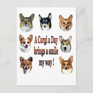 A Corgi a Day Brings a Smile 7 Postcard