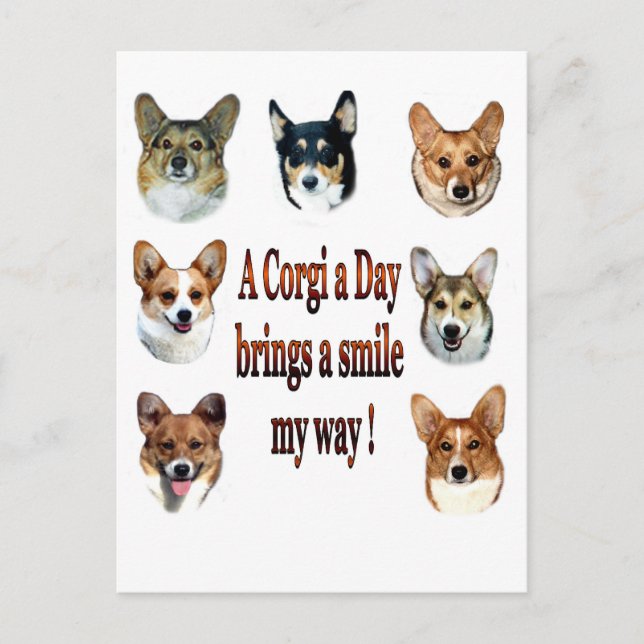 A Corgi a Day Brings a Smile 7 Postcard (Front)