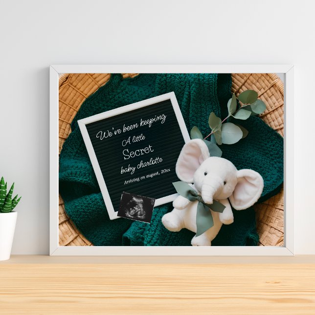 A cosy Neutral basket pregnancy announcement  Poster (Creator Uploaded)