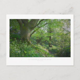 A Cotswold Spring Wood Postcard