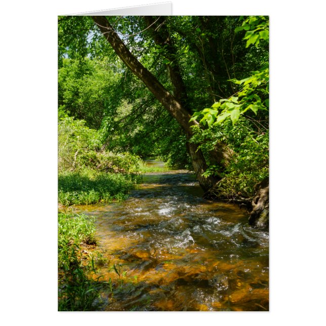 A Country Creek (Front)