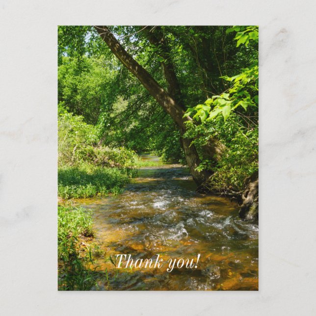 A Country Creek Postcard (Front)