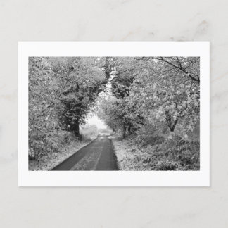 A Country Road in Winter: Cheshire, England Postcard