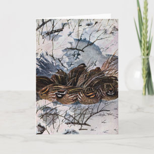 A Covey of Bobwhites Card