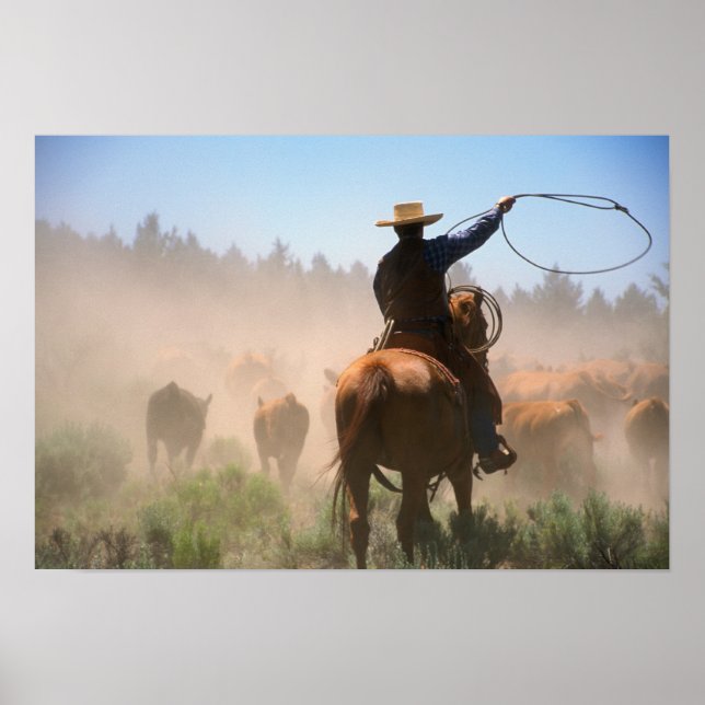 A cowboy out working the herd on a cattle poster (Front)
