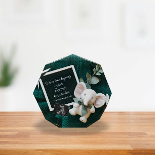 A cozy Neutral basket pregnancy announcement Photo Block