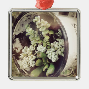 A cup full of succulent plants metal tree decoration