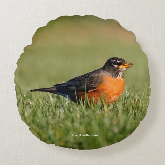 A Curious American Robin Round Cushion (Front)