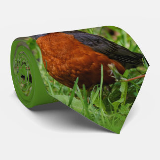 A Curious American Robin Tie