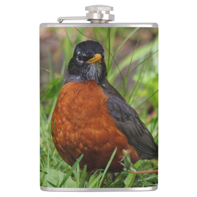 A Curious and Hopeful American Robin Hip Flask (Front)