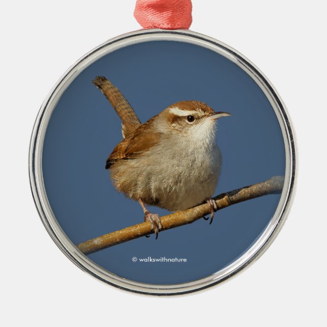 A Curious Bewick's Wren in the Tree Metal Ornament (Front)